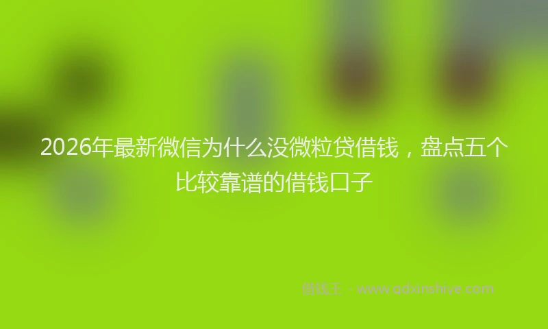 2026年最新微信为什么没微粒贷借钱，盘点五个比较靠谱的借钱口子