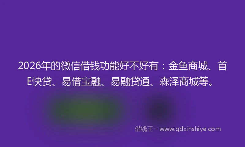 2026年的微信借钱功能好不好有：金鱼商城、首E快贷、易借宝融、易融贷通、森泽商城等。