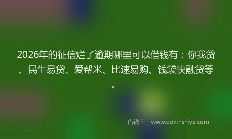 2026年的征信烂了逾期哪里可以借钱有：你我贷、民生易贷、爱帮米、比速易购、钱袋快融贷等。
