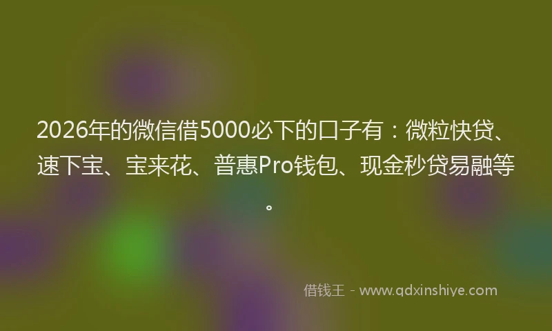 2026年的微信借5000必下的口子有：微粒快贷、速下宝、宝来花、普惠Pro钱包、现金秒贷易融等。