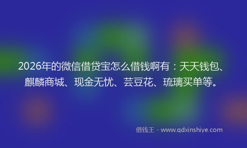 2026年的微信借贷宝怎么借钱啊有：天天钱包、麒麟商城、现金无忧、芸豆花、琉璃买单等。