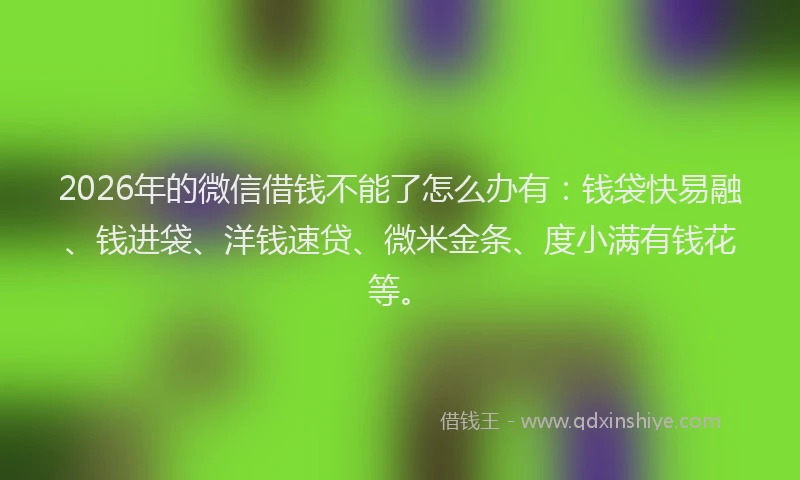2026年的微信借钱不能了怎么办有：钱袋快易融、钱进袋、洋钱速贷、微米金条、度小满有钱花等。