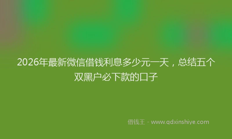 2026年最新微信借钱利息多少元一天，总结五个双黑户必下款的口子