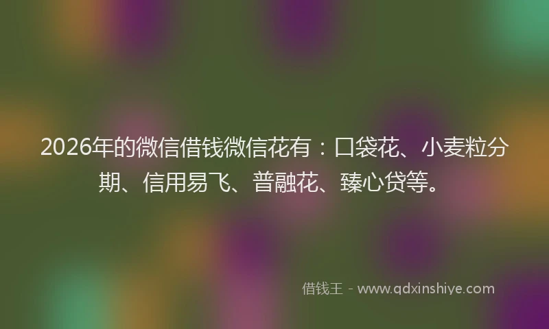 2026年的微信借钱微信花有：口袋花、小麦粒分期、信用易飞、普融花、臻心贷等。