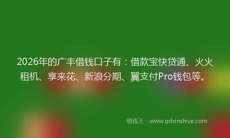 2026年的广丰借钱口子有：借款宝快贷通、火火租机、享来花、新浪分期、翼支付Pro钱包等。