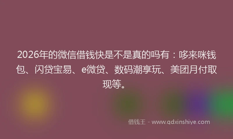 2026年的微信借钱快是不是真的吗有：哆来咪钱包、闪贷宝易、e微贷、数码潮享玩、美团月付取现等。