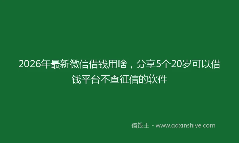 2026年最新微信借钱用啥，分享5个20岁可以借钱平台不查征信的软件