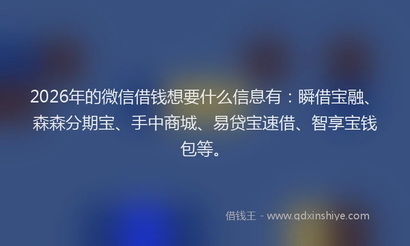 2026年的微信借钱想要什么信息有：瞬借宝融、森森分期宝、手中商城、易贷宝速借、智享宝钱包等。