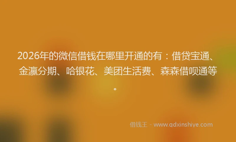 2026年的微信借钱在哪里开通的有：借贷宝通、金瀛分期、哈银花、美团生活费、森森借呗通等。