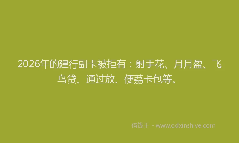 2026年的建行副卡被拒有：射手花、月月盈、飞鸟贷、通过放、便荔卡包等。