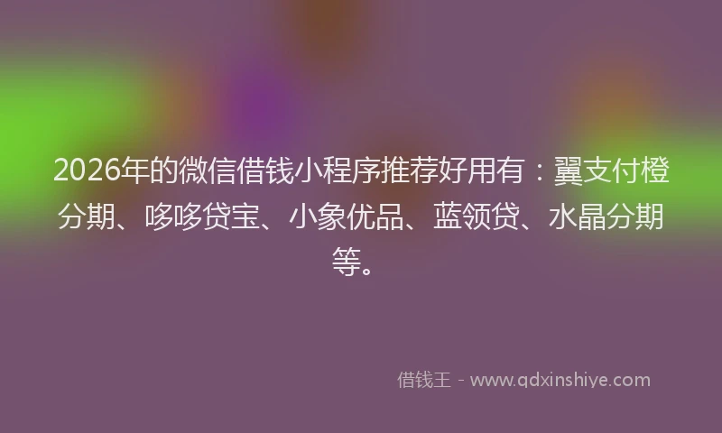 2026年的微信借钱小程序推荐好用有：翼支付橙分期、哆哆贷宝、小象优品、蓝领贷、水晶分期等。