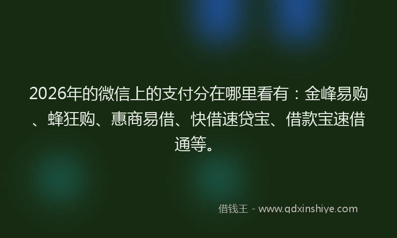 2026年的微信上的支付分在哪里看有：金峰易购、蜂狂购、惠商易借、快借速贷宝、借款宝速借通等。