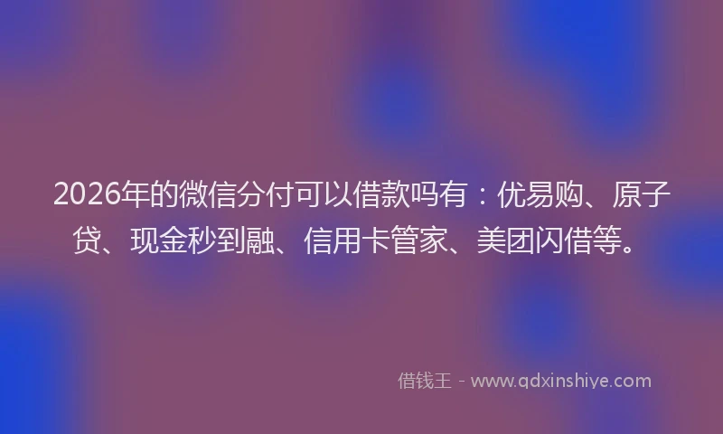 2026年的微信分付可以借款吗有：优易购、原子贷、现金秒到融、信用卡管家、美团闪借等。