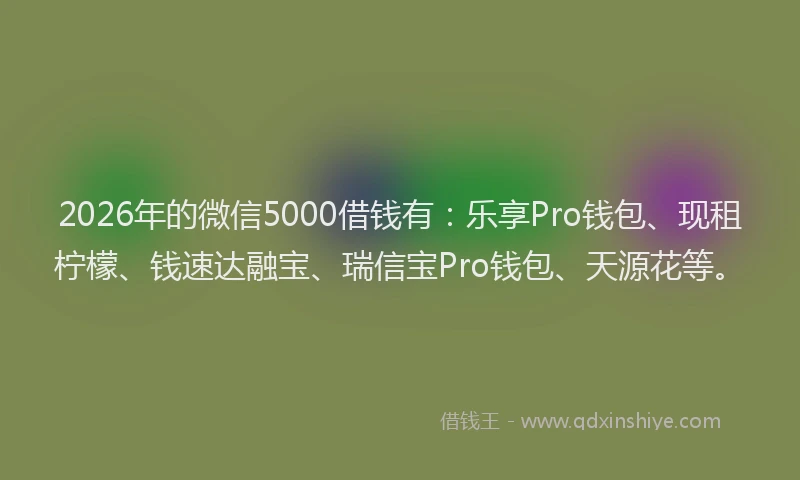 2026年的微信5000借钱有：乐享Pro钱包、现租柠檬、钱速达融宝、瑞信宝Pro钱包、天源花等。
