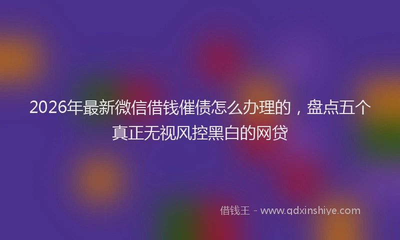 2026年最新微信借钱催债怎么办理的，盘点五个真正无视风控黑白的网贷