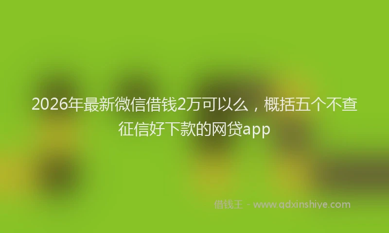 2026年最新微信借钱2万可以么，概括五个不查征信好下款的网贷app