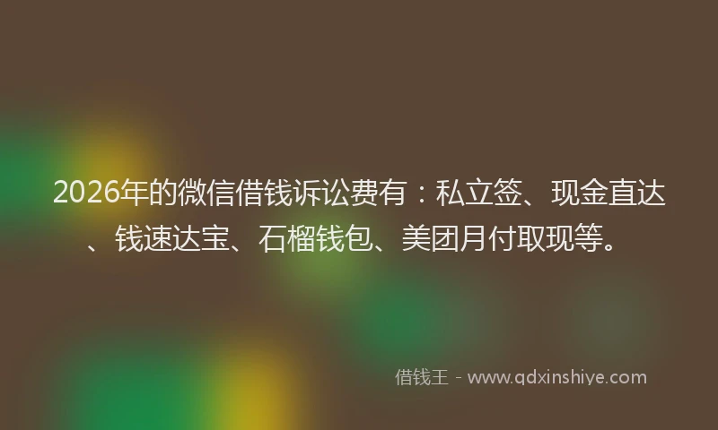 2026年的微信借钱诉讼费有：私立签、现金直达、钱速达宝、石榴钱包、美团月付取现等。