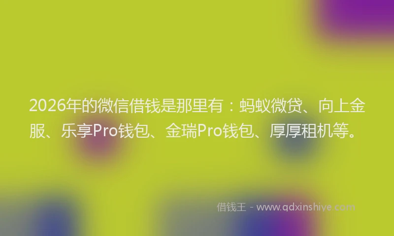 2026年的微信借钱是那里有：蚂蚁微贷、向上金服、乐享Pro钱包、金瑞Pro钱包、厚厚租机等。
