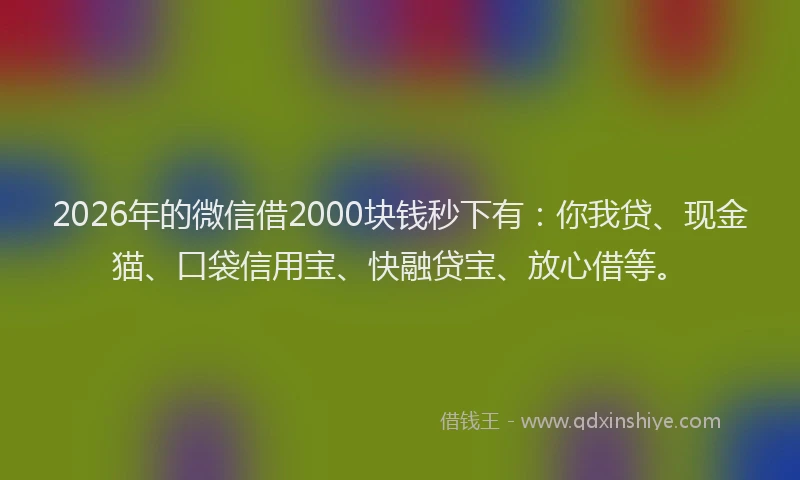 2026年的微信借2000块钱秒下有：你我贷、现金猫、口袋信用宝、快融贷宝、放心借等。