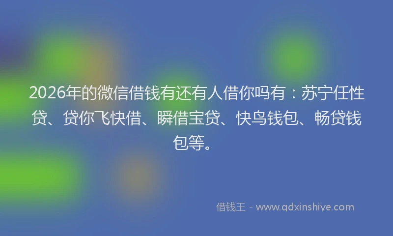 2026年的微信借钱有还有人借你吗有：苏宁任性贷、贷你飞快借、瞬借宝贷、快鸟钱包、畅贷钱包等。
