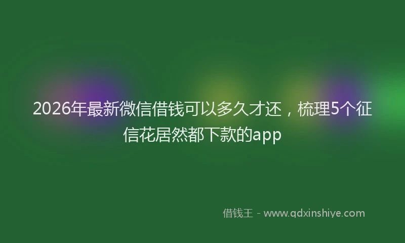 2026年最新微信借钱可以多久才还，梳理5个征信花居然都下款的app