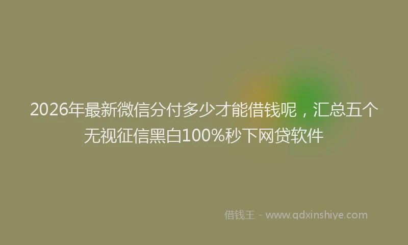 2026年最新微信分付多少才能借钱呢，汇总五个无视征信黑白100%秒下网贷软件