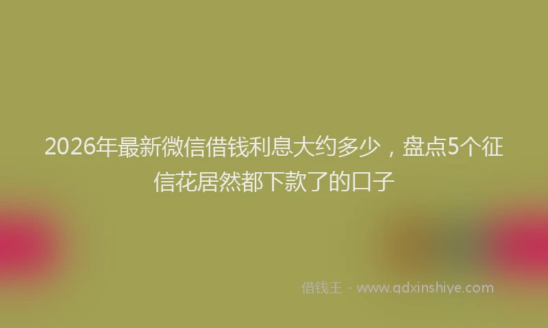 2026年最新微信借钱利息大约多少，盘点5个征信花居然都下款了的口子