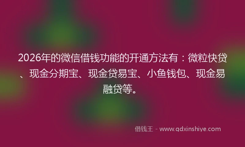 2026年的微信借钱功能的开通方法有：微粒快贷、现金分期宝、现金贷易宝、小鱼钱包、现金易融贷等。