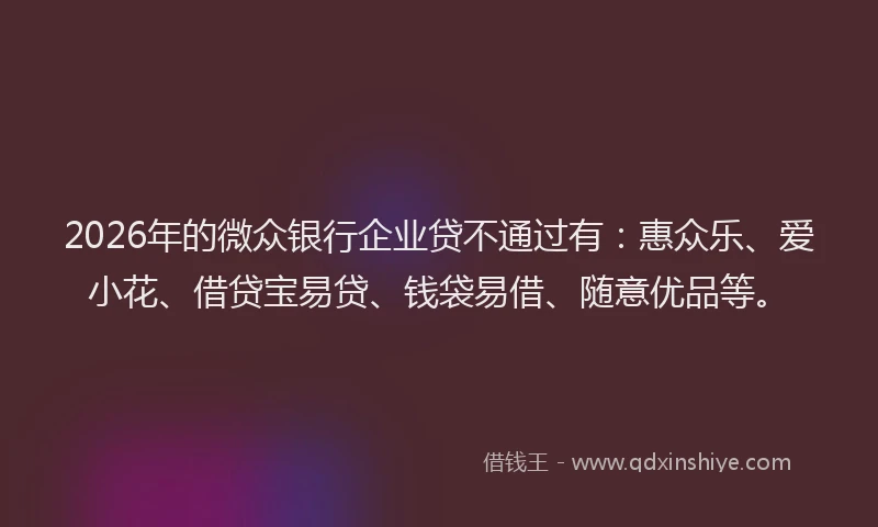 2026年的微众银行企业贷不通过有：惠众乐、爱小花、借贷宝易贷、钱袋易借、随意优品等。