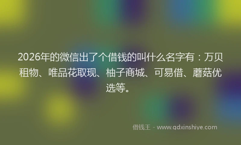 2026年的微信出了个借钱的叫什么名字有：万贝租物、唯品花取现、柚子商城、可易借、蘑菇优选等。