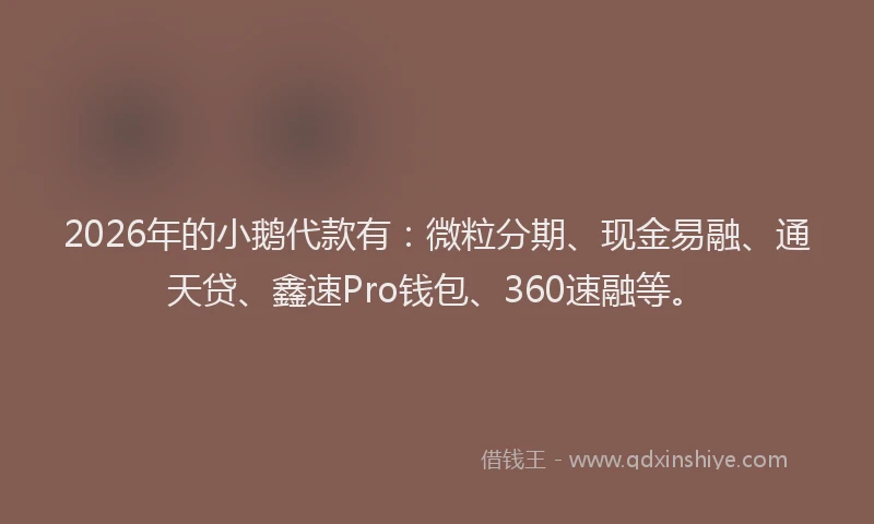 2026年的小鹅代款有：微粒分期、现金易融、通天贷、鑫速Pro钱包、360速融等。