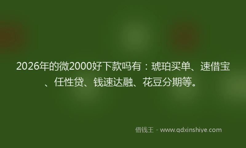 2026年的微2000好下款吗有：琥珀买单、速借宝、任性贷、钱速达融、花豆分期等。