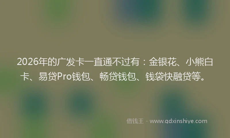 2026年的广发卡一直通不过有：金银花、小熊白卡、易贷Pro钱包、畅贷钱包、钱袋快融贷等。