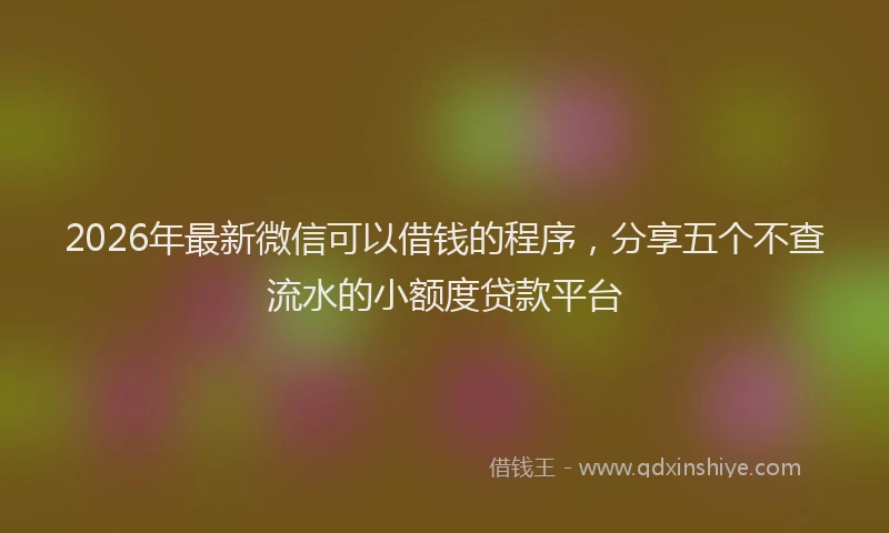 2026年最新微信可以借钱的程序，分享五个不查流水的小额度贷款平台