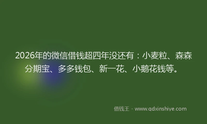 2026年的微信借钱超四年没还有：小麦粒、森森分期宝、多多钱包、新一花、小鹅花钱等。