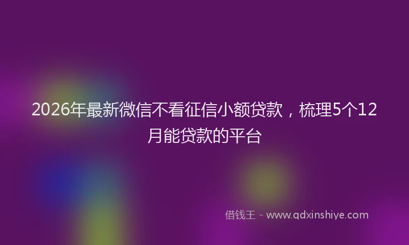 2026年最新微信不看征信小额贷款，梳理5个12月能贷款的平台