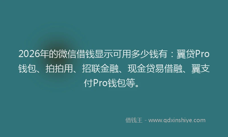 2026年的微信借钱显示可用多少钱有：翼贷Pro钱包、拍拍用、招联金融、现金贷易借融、翼支付Pro钱包等。