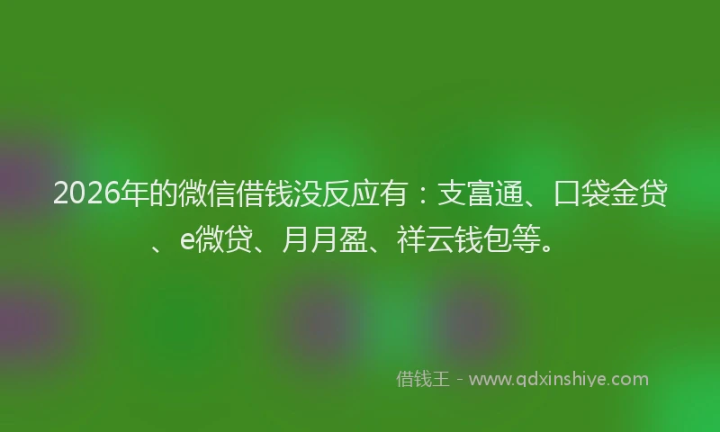2026年的微信借钱没反应有：支富通、口袋金贷、e微贷、月月盈、祥云钱包等。