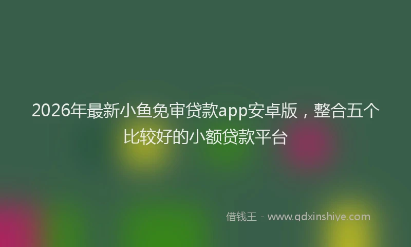 2026年最新小鱼免审贷款app安卓版，整合五个比较好的小额贷款平台
