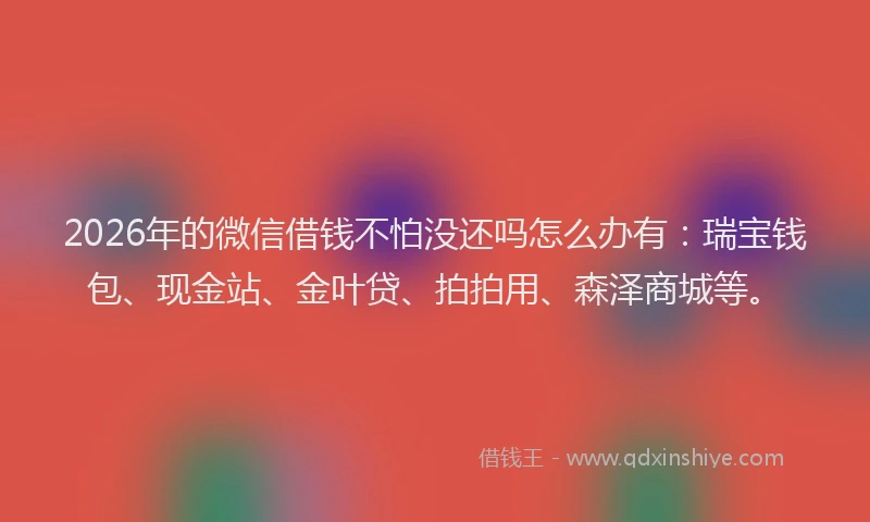 2026年的微信借钱不怕没还吗怎么办有：瑞宝钱包、现金站、金叶贷、拍拍用、森泽商城等。