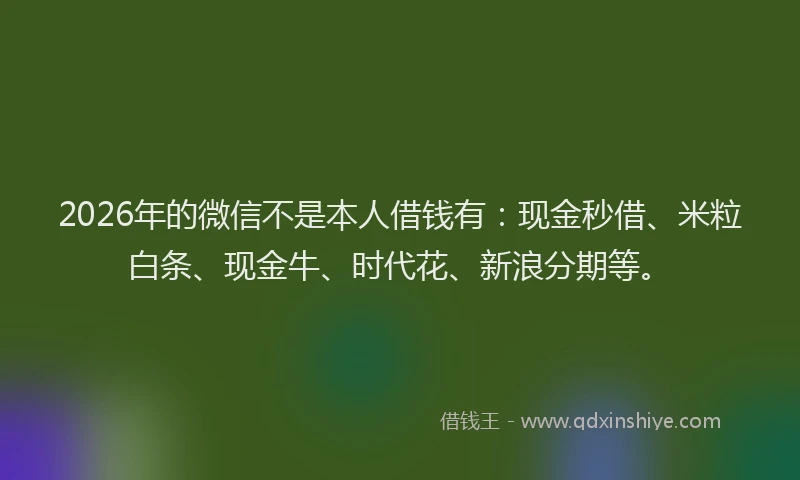 2026年的微信不是本人借钱有：现金秒借、米粒白条、现金牛、时代花、新浪分期等。