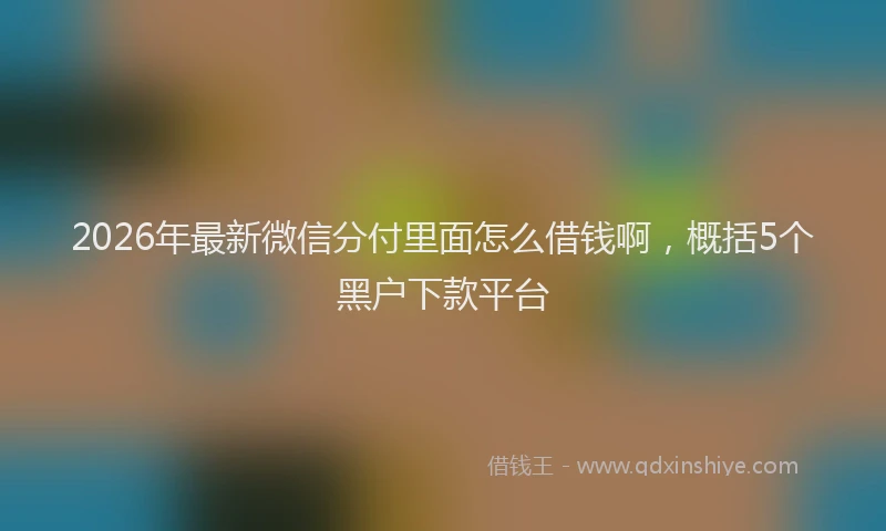 2026年最新微信分付里面怎么借钱啊，概括5个黑户下款平台