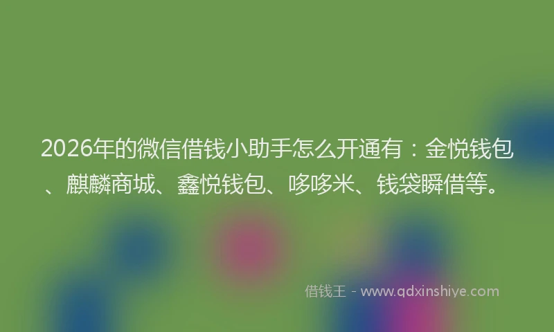 2026年的微信借钱小助手怎么开通有：金悦钱包、麒麟商城、鑫悦钱包、哆哆米、钱袋瞬借等。