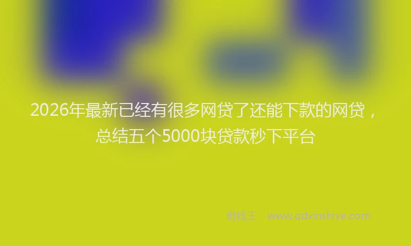 2026年最新已经有很多网贷了还能下款的网贷，总结五个5000块贷款秒下平台