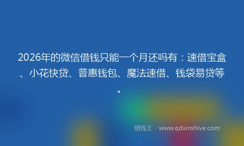 2026年的微信借钱只能一个月还吗有：速借宝盒、小花快贷、普惠钱包、魔法速借、钱袋易贷等。