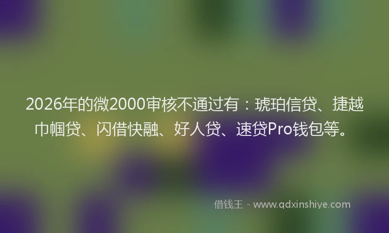2026年的微2000审核不通过有：琥珀信贷、捷越巾帼贷、闪借快融、好人贷、速贷Pro钱包等。