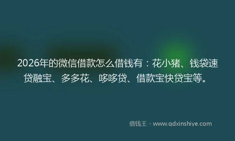 2026年的微信借款怎么借钱有：花小猪、钱袋速贷融宝、多多花、哆哆贷、借款宝快贷宝等。