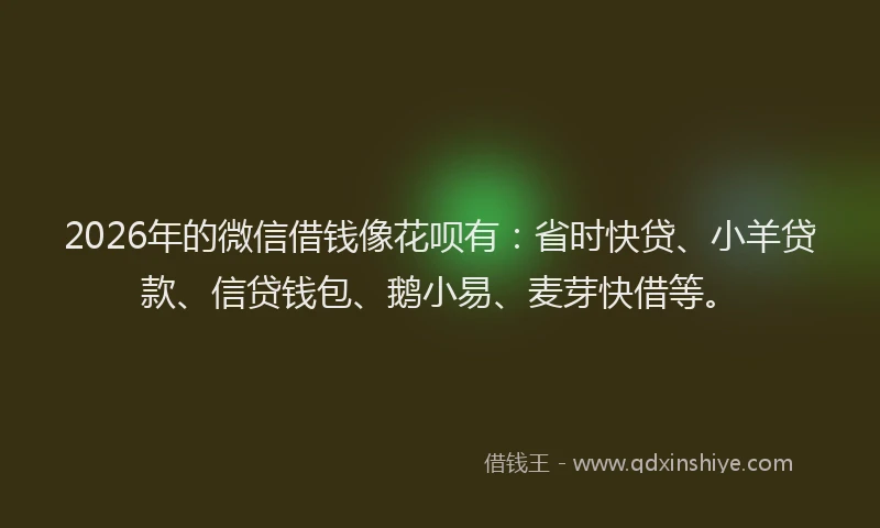 2026年的微信借钱像花呗有：省时快贷、小羊贷款、信贷钱包、鹅小易、麦芽快借等。