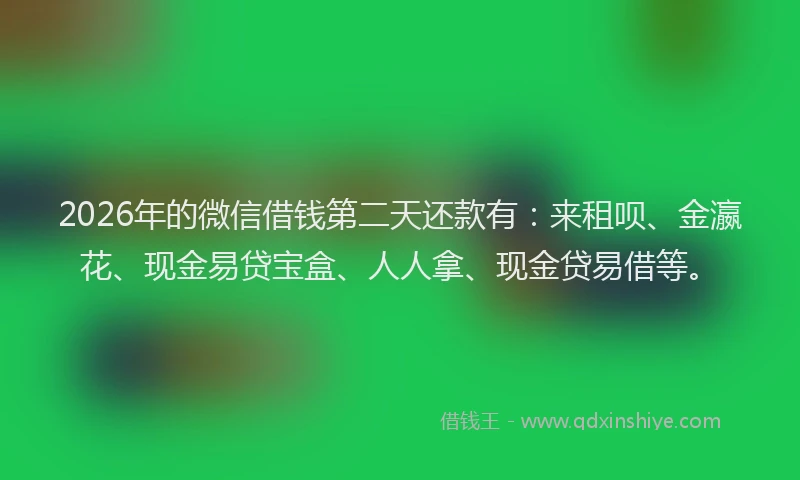 2026年的微信借钱第二天还款有：来租呗、金瀛花、现金易贷宝盒、人人拿、现金贷易借等。
