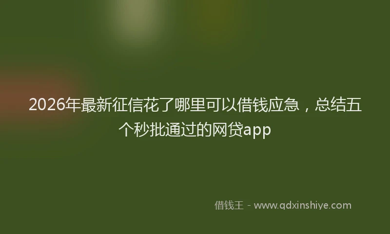 2026年最新征信花了哪里可以借钱应急，总结五个秒批通过的网贷app